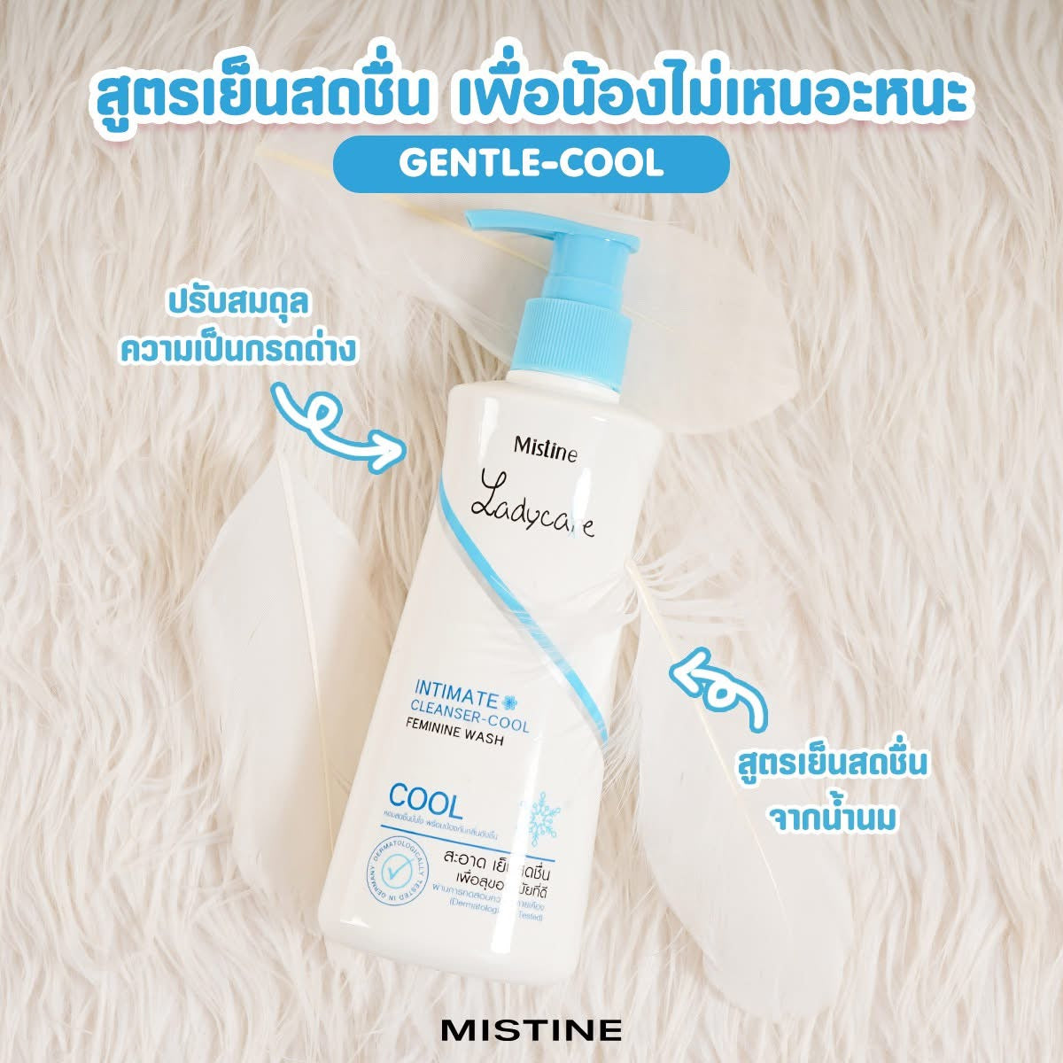 MISTINE Lady Care Cool Formula in Set