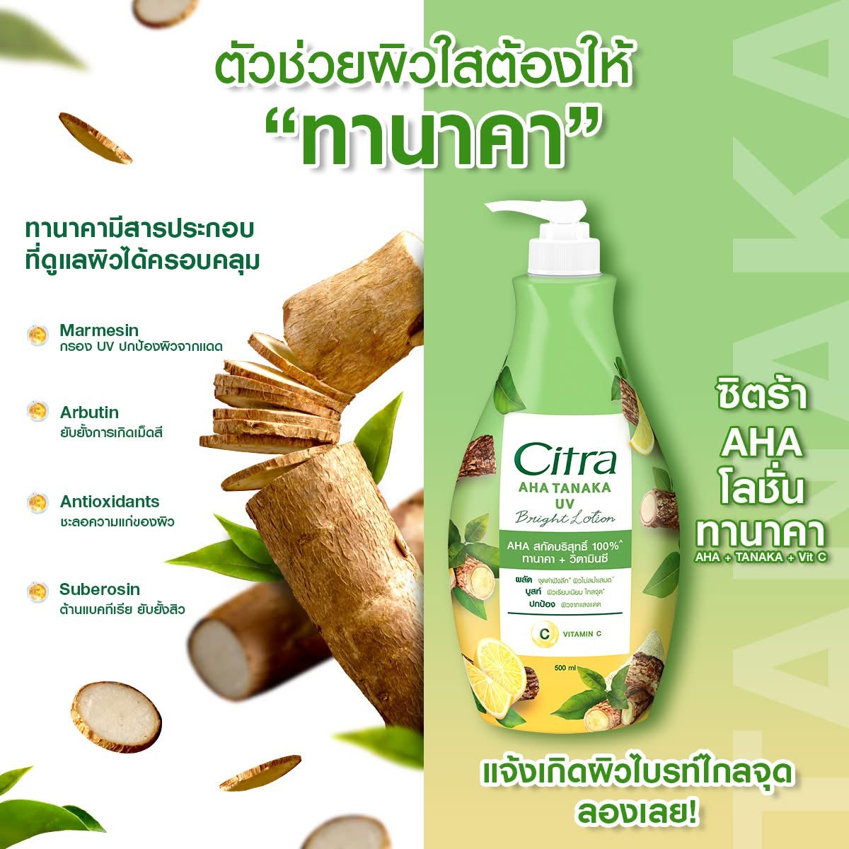 Citra AHA Tanaka UV Bright Lotion